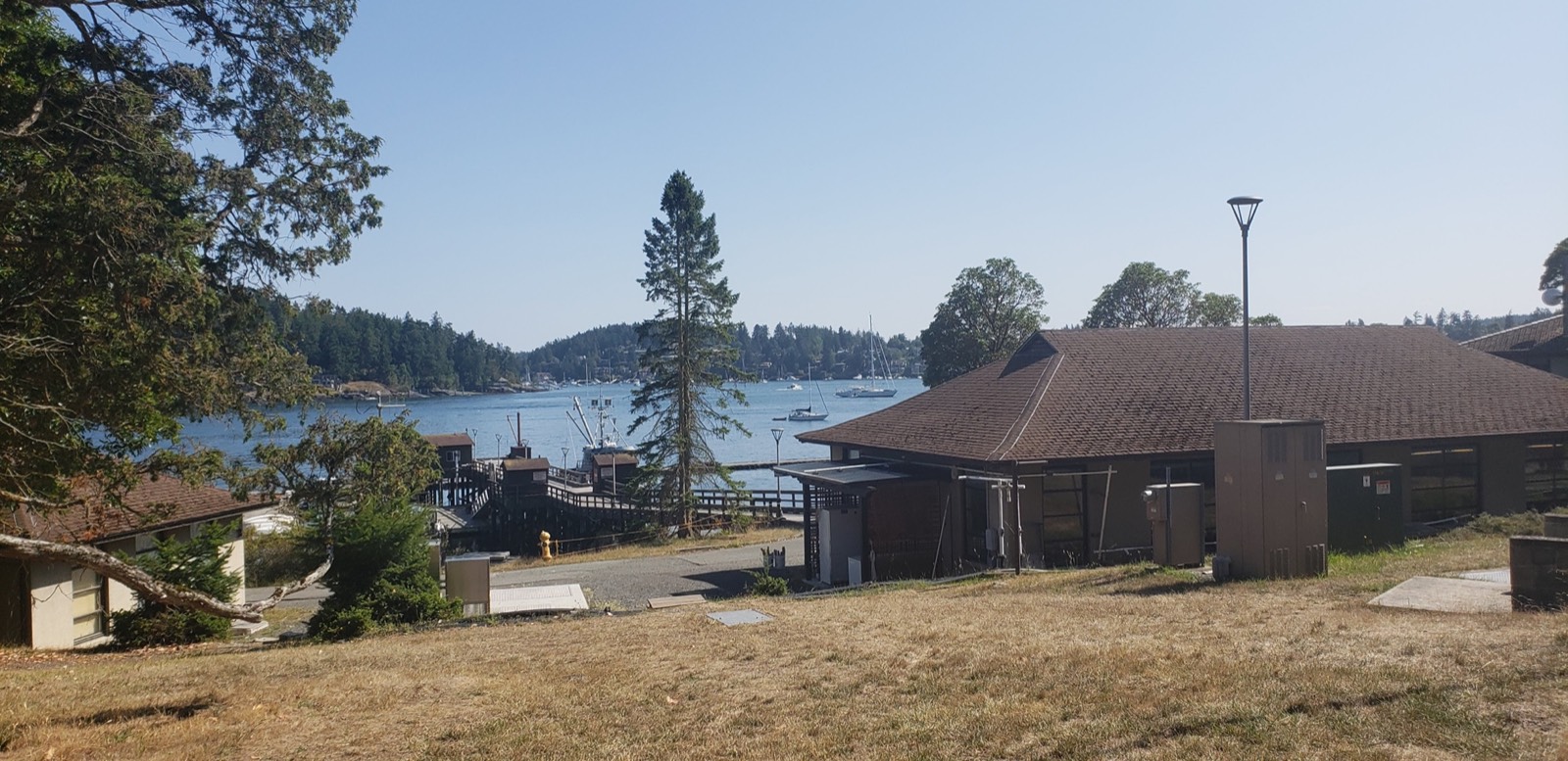 The Friday Harbor Labs grounds overlooking the boat harbor