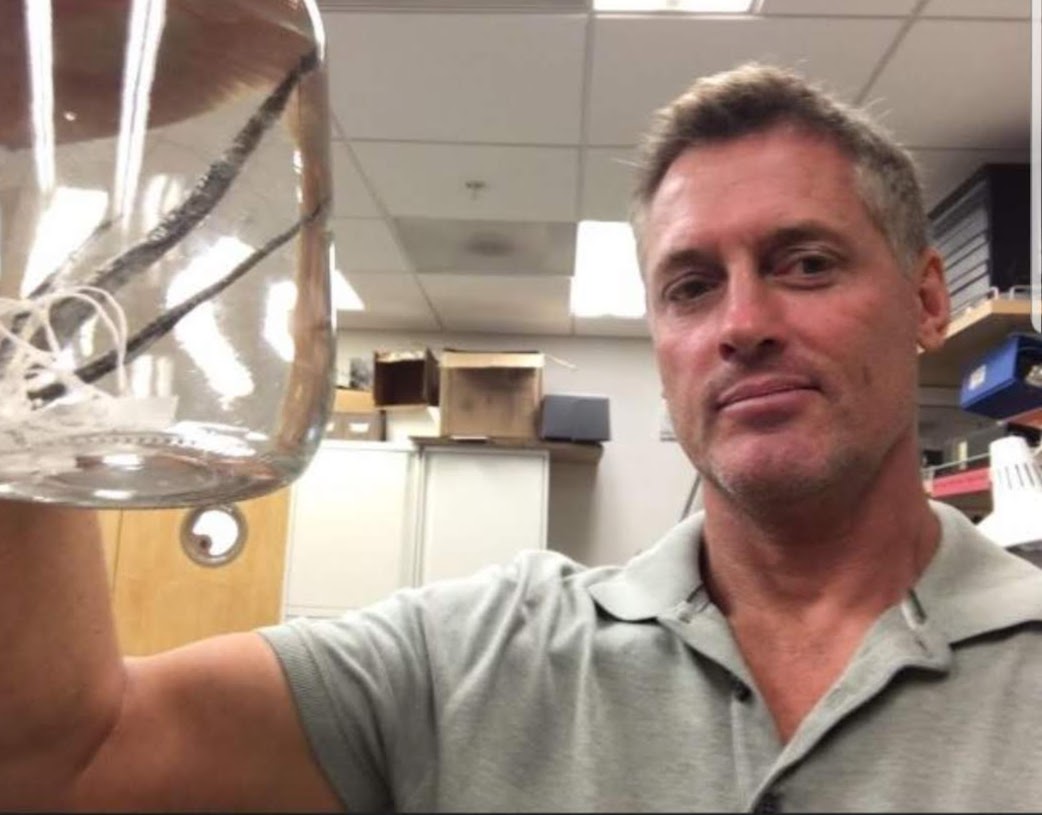 Graham Short diving with a weedy seadragon in southern Australia